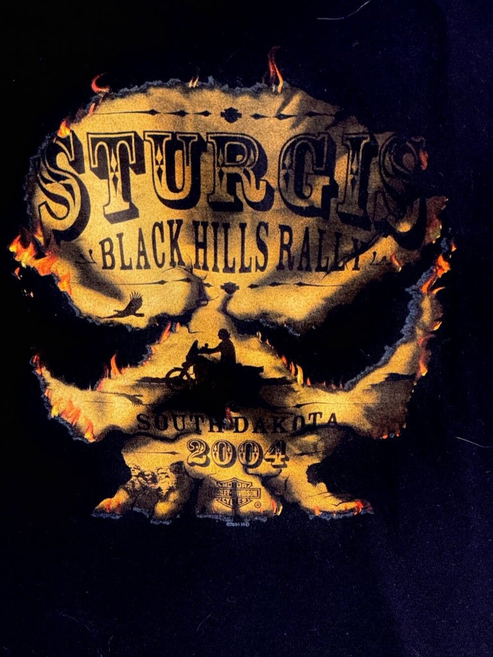 Harley Davidson Sturgis Rally T Shirt Mens XLarge Black Bergdale MN Skull Flames